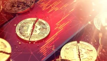 Understanding the Factors Behind the Recent Crypto Crash
