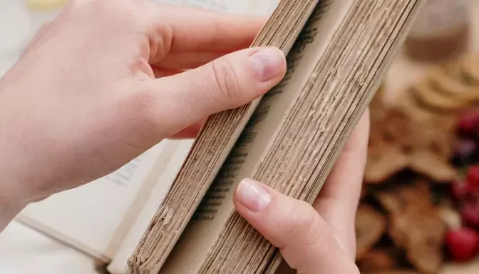 Novel 80: The Ultimate Guide to the Revolutionary Literary Genre