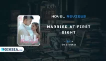 Novel Married at First Sight Full Chapter By Gu Lingfei