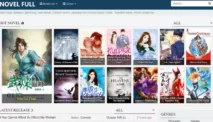Novelfull: A Platform for Reading Online Novels
