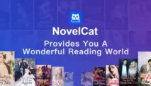 NovelCat: A Platform for Reading and Writing Web Novels