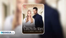 The CEO’s Ex-Wife Is A Famous Doctor Full Chapter Novel by Lilhyz