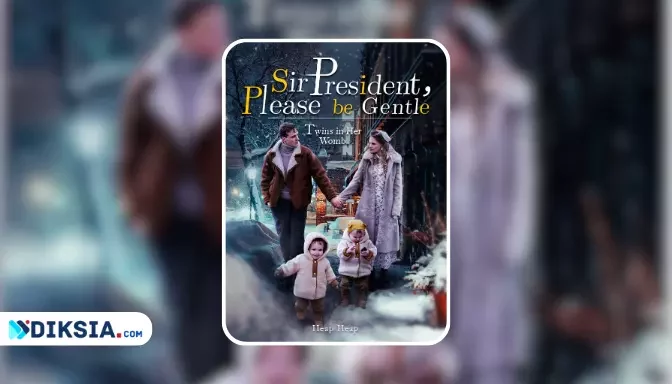 Twins in Her Womb: Sir President, Please be Gentle Pdf Novel by Heap Heap