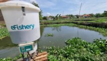 EFishery Raises IDR 3 Trillion In Series D Funding Led By An Abu Dhabi Company