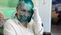 Russian Journalist Yelena Milashina Was Tortured, Shaved And Covered In Green Paint In Chechnya