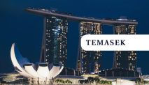 Temasek Abandons Investments In Crypto Companies As Valuations Plummet, Losing $275 Million