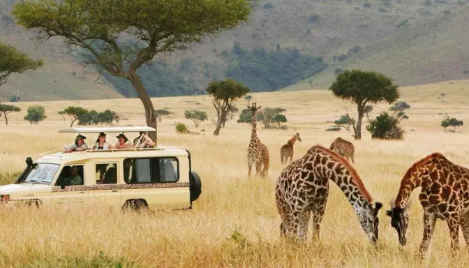 How to Choose the Best African Safari Tour Company for Your Dream Trip