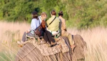 How to Choose the Best Safari Tour Operator for Your Dream Trip