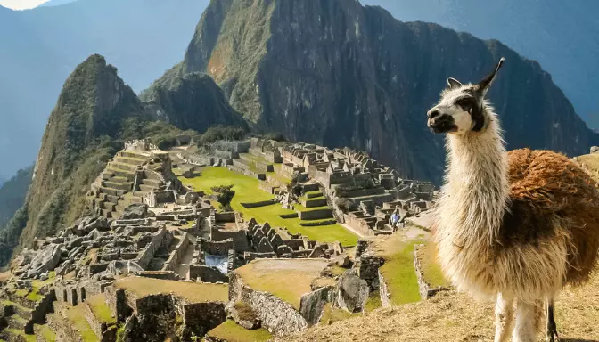 How to Choose the Best Tour Company for Machu Picchu and Galapagos