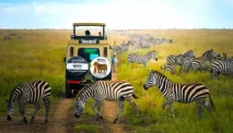 How to Choose the Top Safari Companies for Your Dream Trip