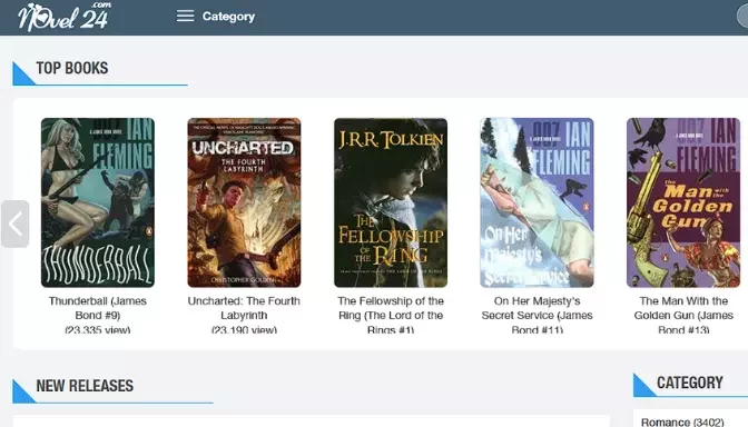 Novel24: A Platform for Reading and Writing Online Novels