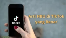 Arti kata HBU di TikTok yang Benar [Penjelasan Lengkap]