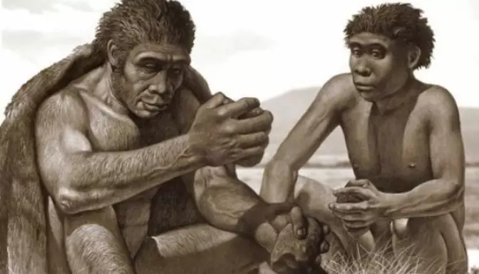 Homo Soloensis Pengertian Sejarah Dan Ciri Cirinya