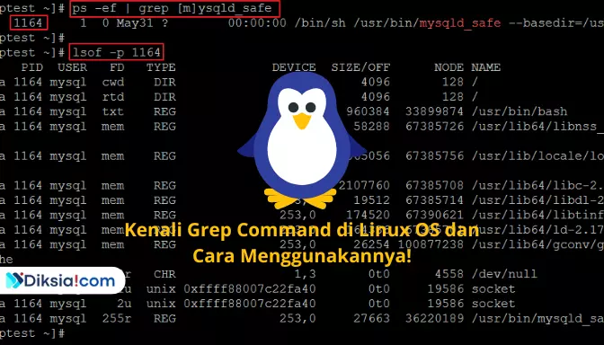 Kenali Grep Command di Linux OS dan Cara Menggunakannya!