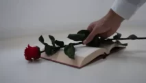Novel Orang Ketiga: Novel Cinta yang Bikin Baper dan Gregetan