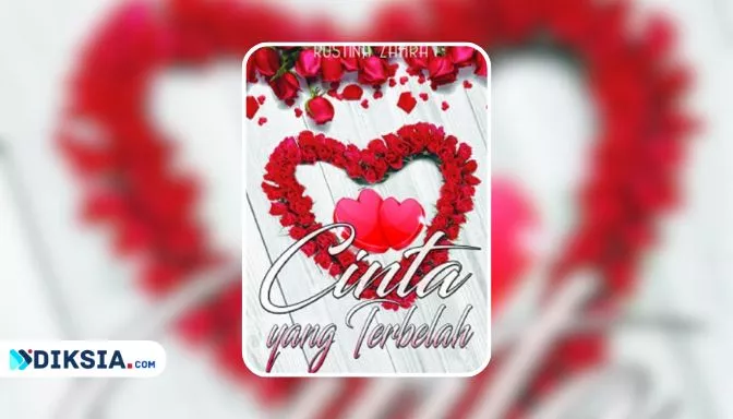 Novel Cinta yang Terbelah