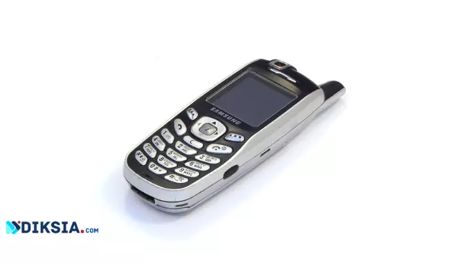 Review Samsung X600