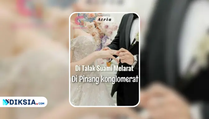 Baca Novel Di Talak Suami Melarat Di Pinang Konglomerat Full Episode