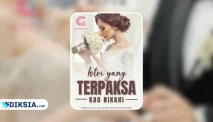 Baca Novel Istri yang Terpaksa Kau Nikahi Full Episode