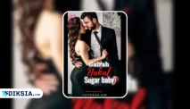 Baca Novel Gairah Nakal, Sugar Baby Full Episode