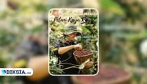 Link Baca Novel TERNYATA SUAMIKU PETANI KAYA RAYA Full Episode
