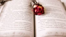Novel Terjemahan Romantis yang Wajib Kamu Baca