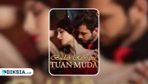 Novel Budak Ranjang Tuan Muda: Kisah Cinta Renata dan Albert