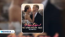 Novel Cinta Setelah Perceraian: Mantan Suami Ingin Aku Kembali by Rosebud
