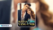 Novel Ikatan Cinta yang Unik karya Erin Badash