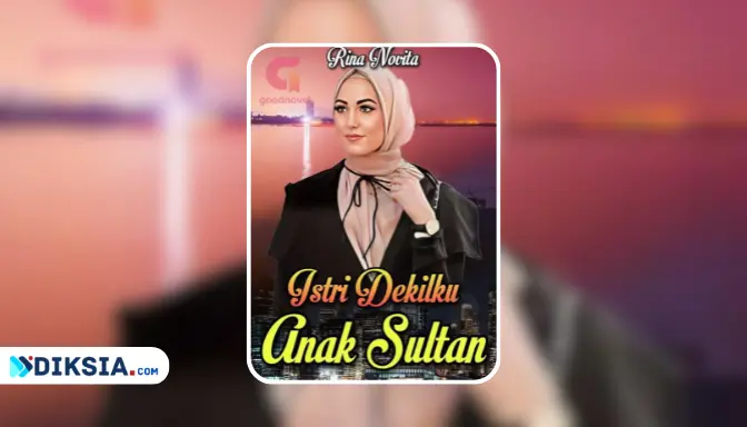 Novel Istri Dekilku Anak Sultan karya Rina Novita