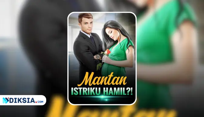 Novel Mantan Istriku Hamil by Barkat Majid