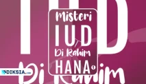 Novel Misteri IUD di Rahim Hana: Perjuangan Hana Mencari Keadilan yang Bikin Geregetan!