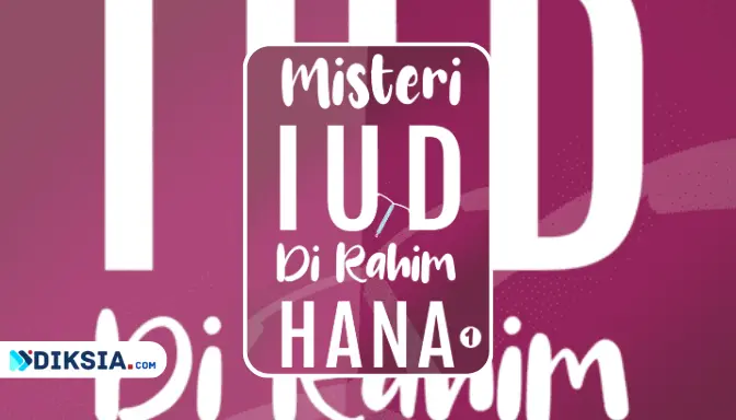 Novel Misteri IUD di Rahim Hana, Perjuangan Hana Mencari Keadilan yang Bikin Geregetan!