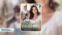 Novel Night of Destiny by Vanessa. K