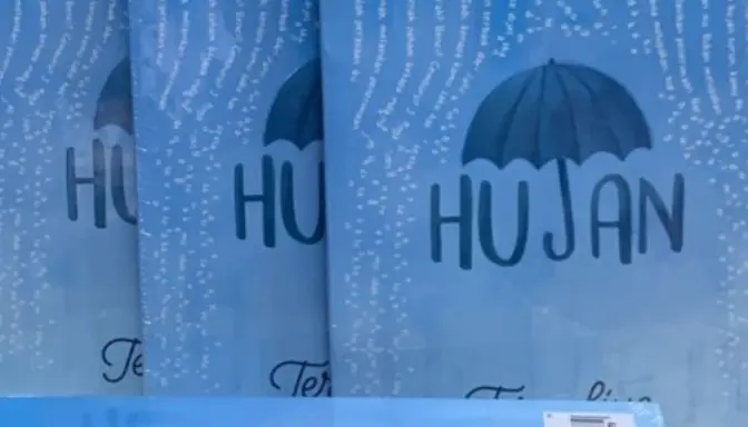 Sinopsis Novel Hujan Karya Tere Liye, Kisah Cinta Lail dan Esok di Tengah Bencana