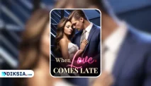 Review Novel When Love Comes Late by Fifine Schwan