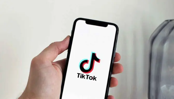 Download Video TikTok Tanpa Watermark Tanpa Aplikasi, Gampang Banget!