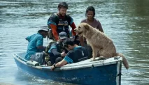 Sinopsis Film Arthur The King, Kisah Persahabatan Manusia dan Anjing di Tengah Perlombaan Ekstrem