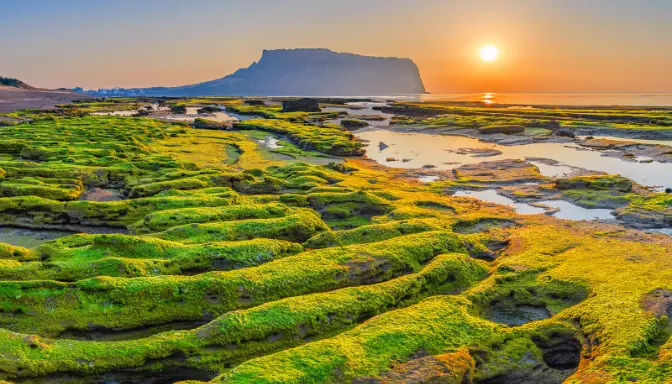 Sunrise at Jeju-Do Seongsan Ilchulbong, Jeju Island, South Korea