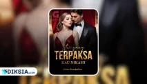 Novel Istri yang Terpaksa Kau Nikahi by Sinar Rembulan