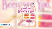 Novel Sunshine Becomes You by Ilana Tan