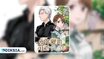 Einen Koyou wa Kanou deshou ka Novel by Yokuu, Kisah Romantis Lucille dan Sang Penyihir Dingin