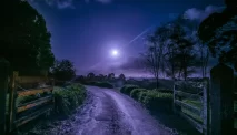 Moonlight Novel, Lebih dari Sekadar Kisah Cinta di Bawah Rembulan