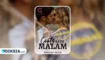 Novel Cinta Satu Malam Karya Handira Rezza, Kisah Cinta Kirana dan Sabian