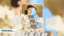 Novel Dipaksa Nikah by Abarakwan