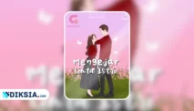 Novel Mengejar Cinta Istri by Rahayu avilia
