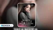 Novel Wanita yang Diarak Keliling Kampung itu Istriku