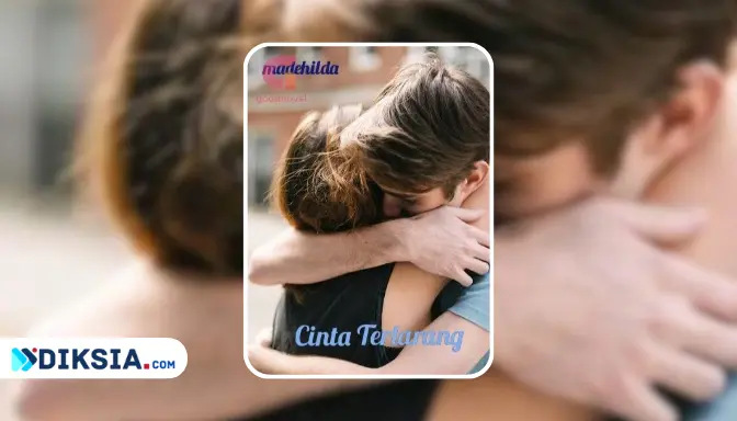 Novel Cinta Terlarang by Madehilda