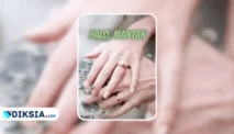 Novel Halo Mantan (Dikejar Cinta Mantan Suami) by Yetti Setiawati