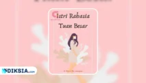 Novel Istri Rahasia Tuan Besar by Minipau